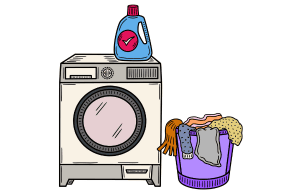 detergent category
