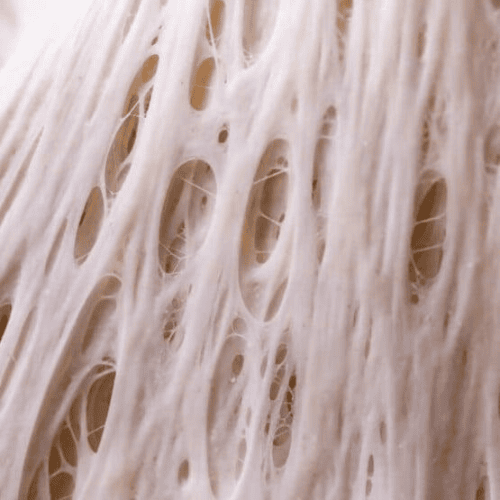 What is Gluten? What is Gluten?