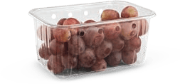 Heat Seal Punnets