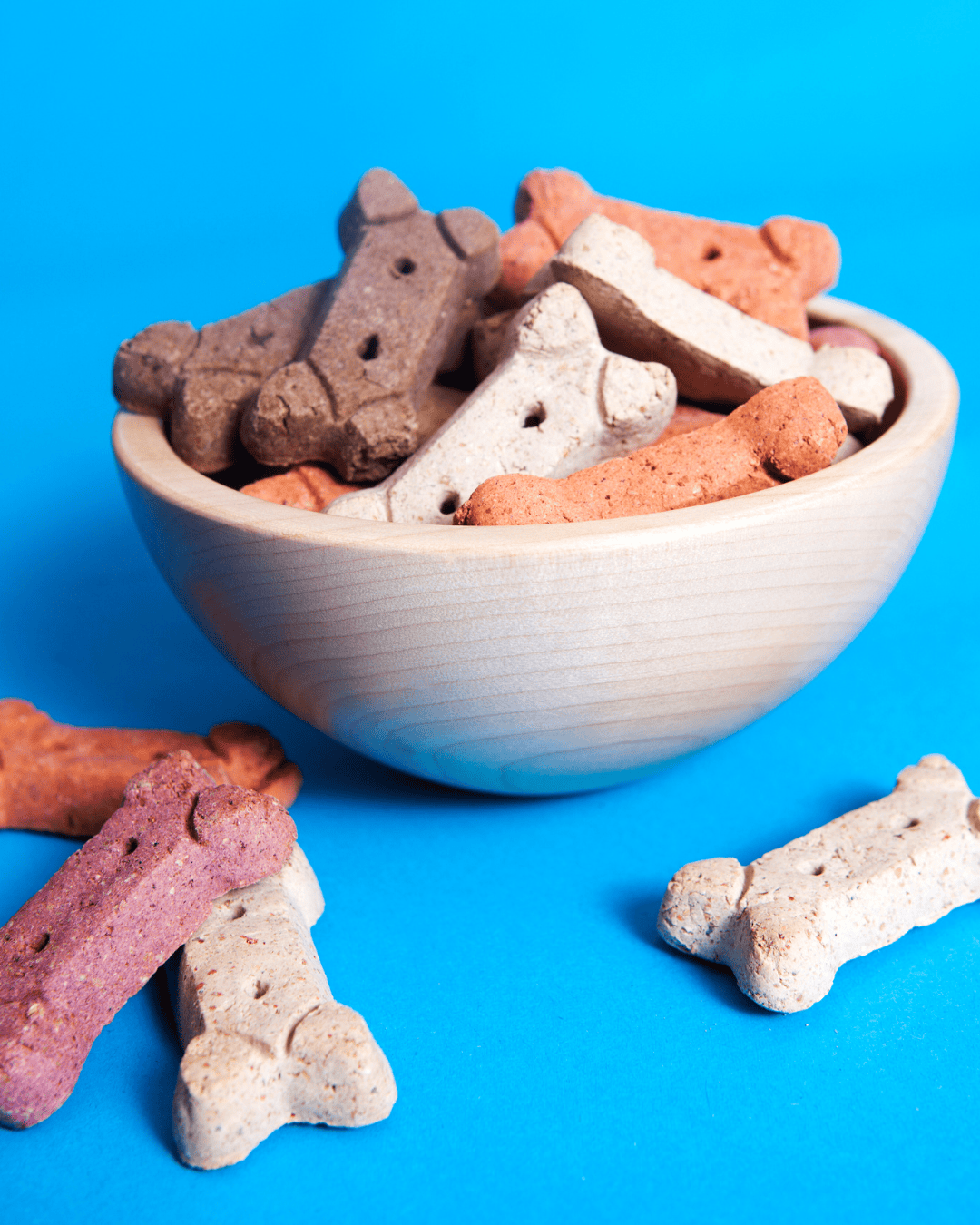 Dog Biscuits