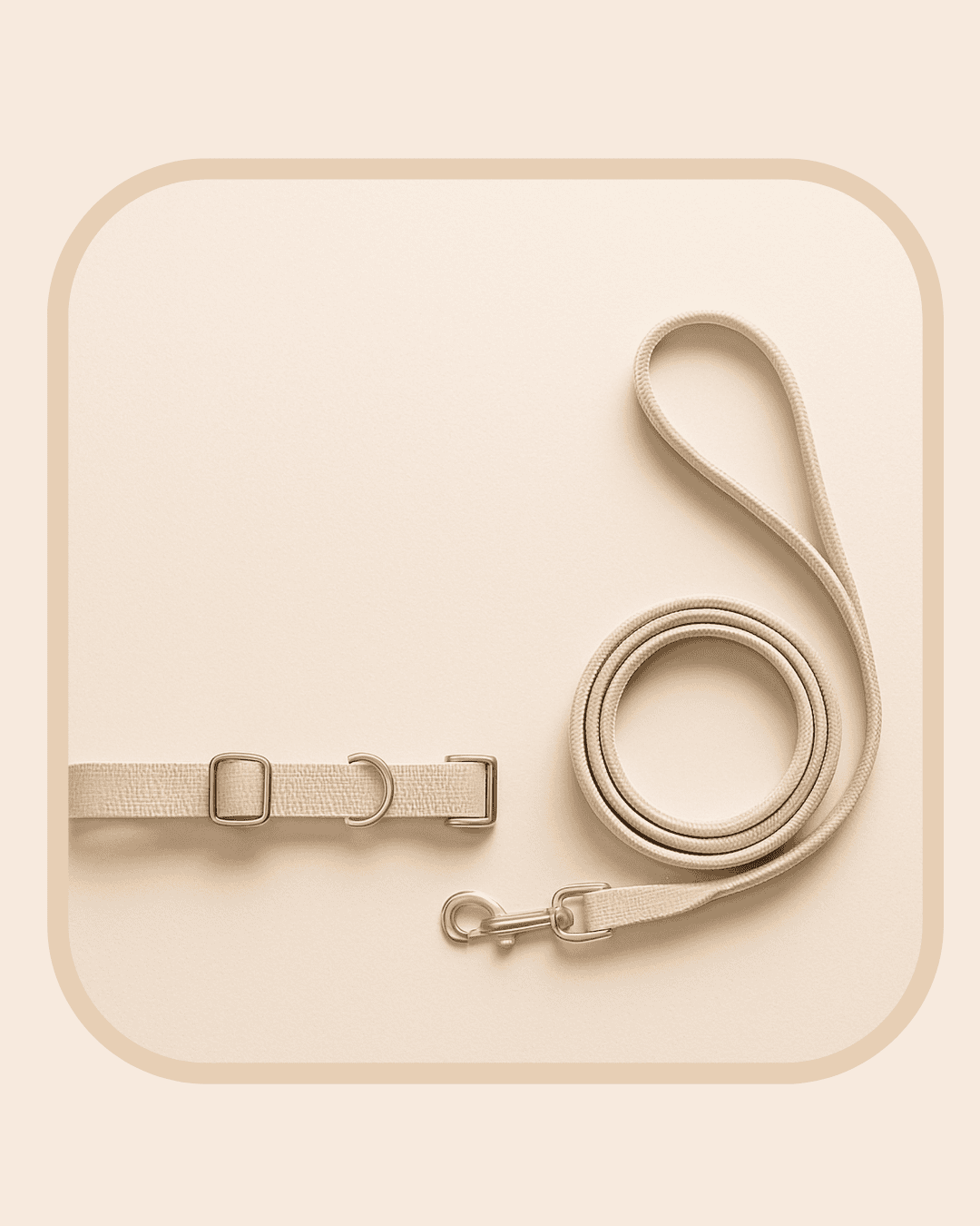 Collar & Leashes Collar & Leashes