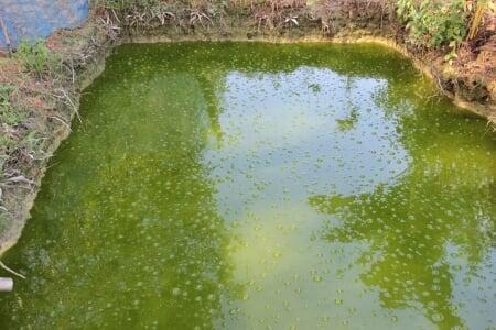 Heat/Cold Stress Heat/Cold Stress