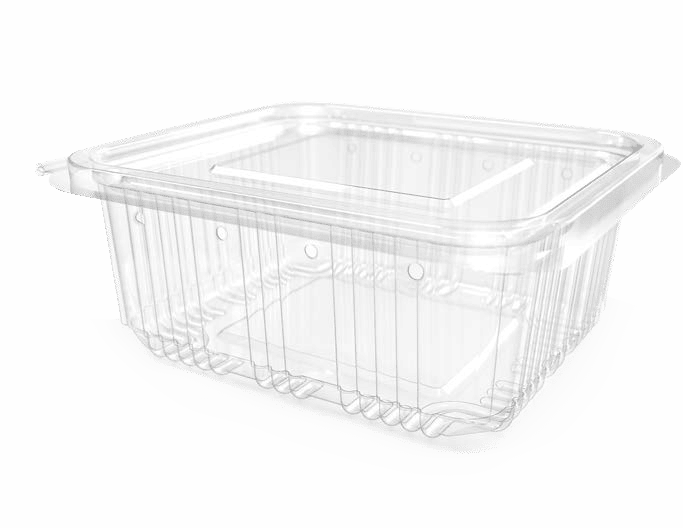 Hinged Container with Side Vents Hinged Container with Side Vents
