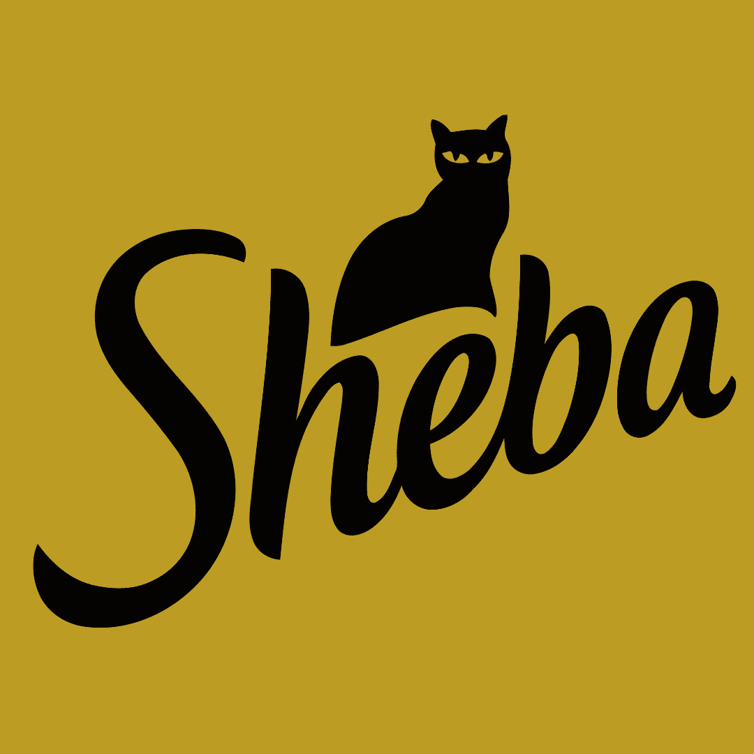 Sheba Sheba