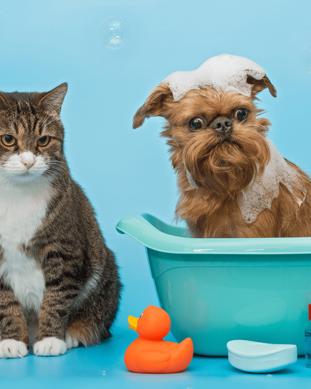 Shampoo & Conditioners