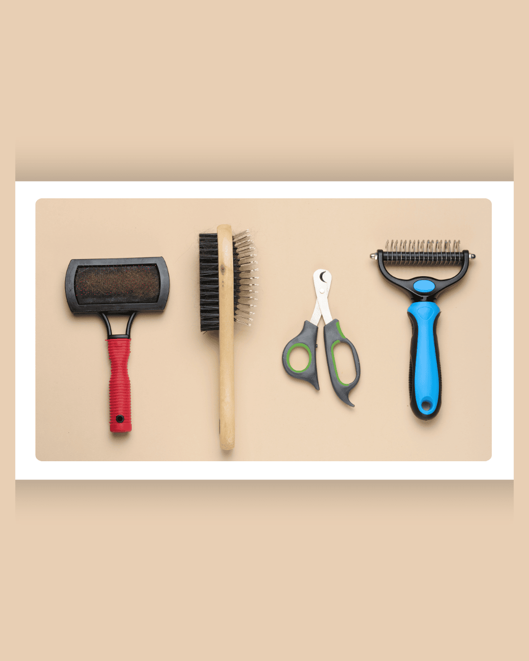 Brush and Comb Brush and Comb
