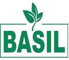 Basil