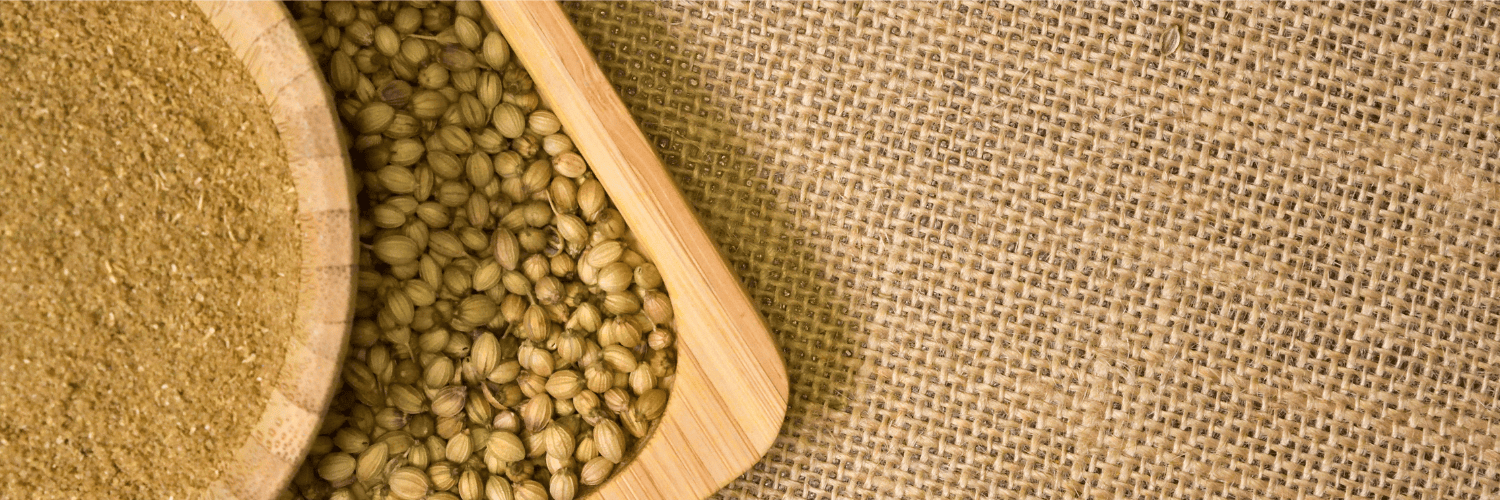 Whole Coriander Seeds Dhaniya – Fresh Aromatic Spices for Flavor and Wellness