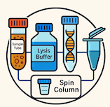 Mosquito DNA isolation kit, DNA isolation kit, RNA isolation kit, Protein Isolation kit, Molecular biology Reagents