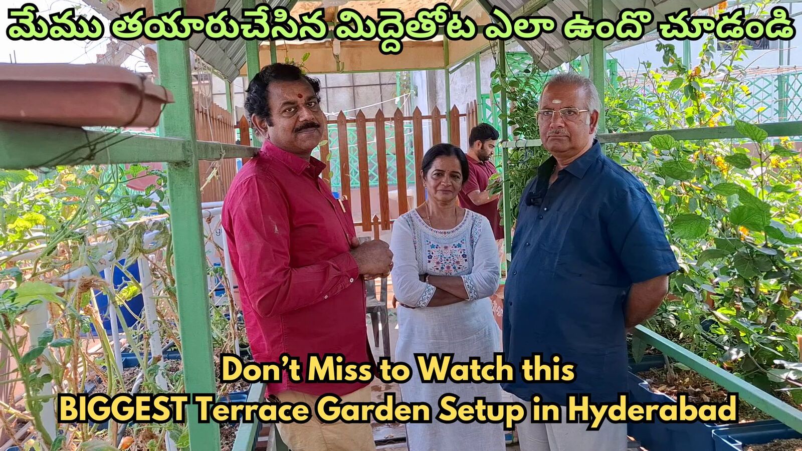 Garden Setup at Ashok Nagar RTC X Roads