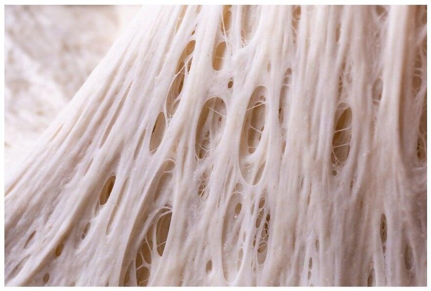 What is Gluten? 