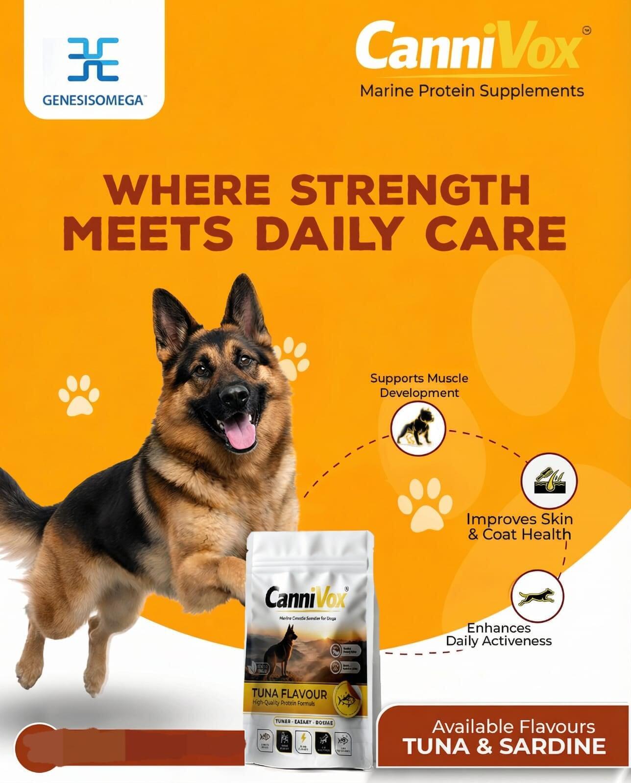 Marine Protein Booster for dogs