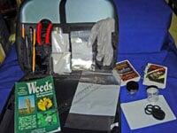 Entomological kits for quick collection and sampling of insects