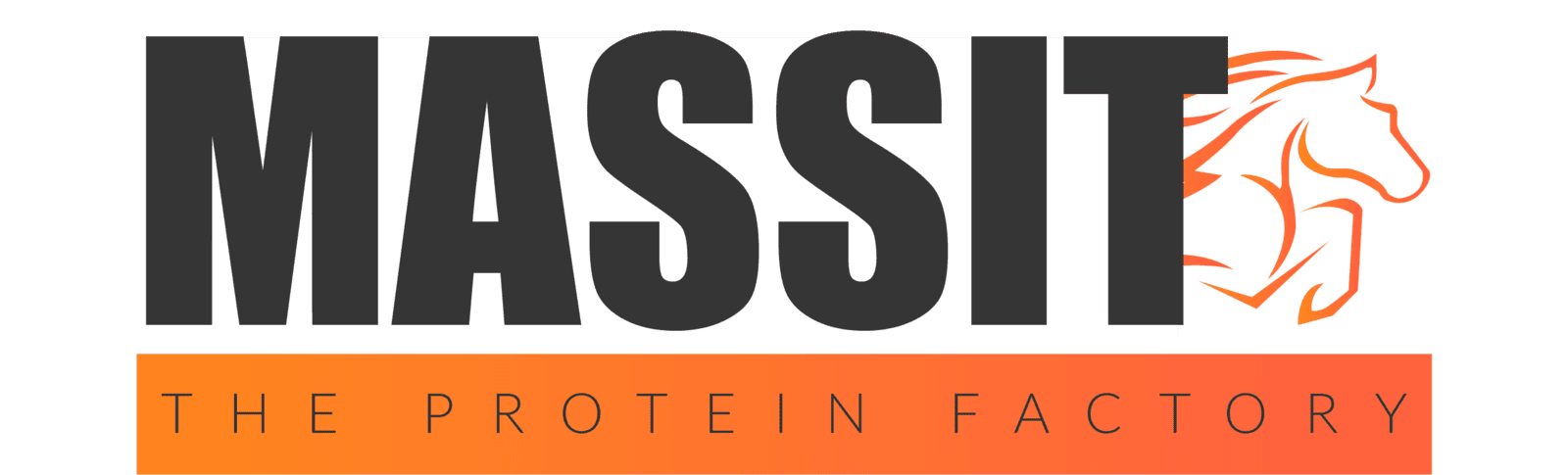 MASSIT