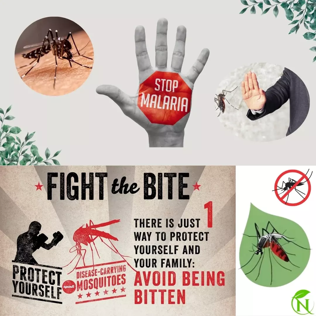 Educational Toys Educational Toys