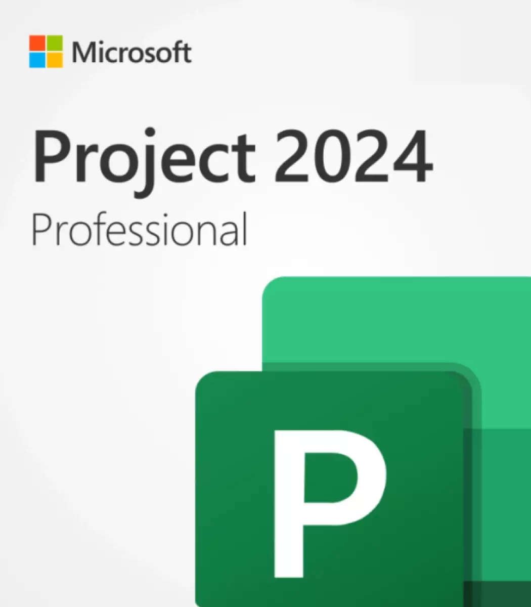 Project 2024 Professional Project 2024 Professional