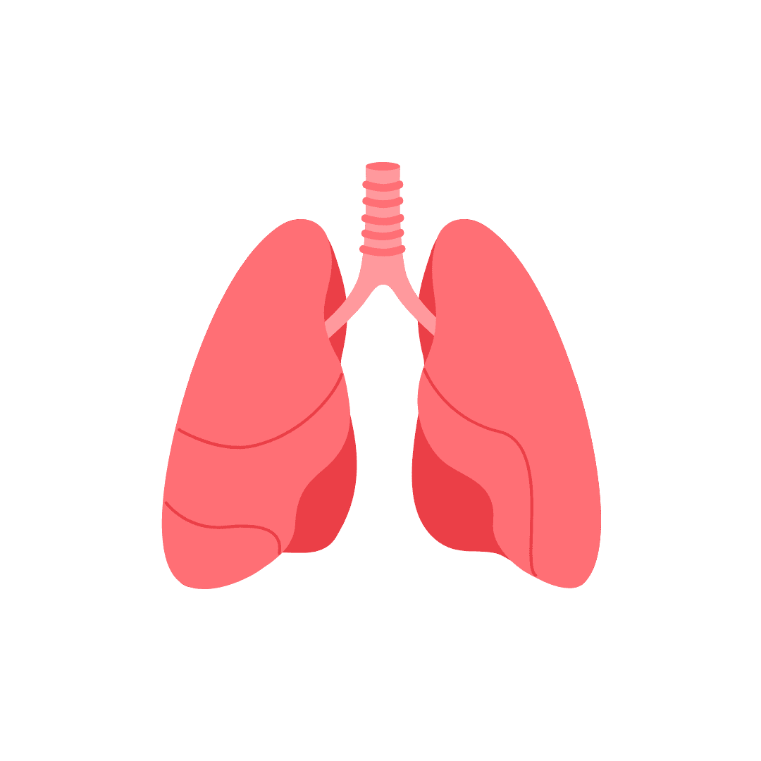 Smart Watches Smart Watches