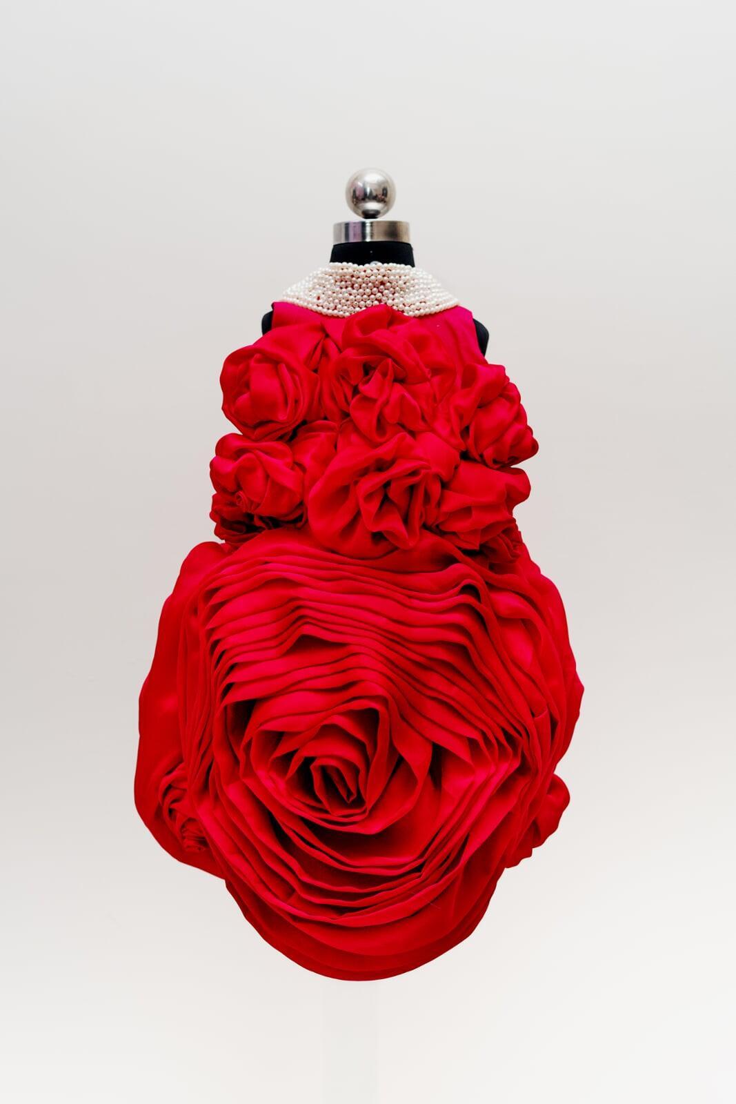 Red Princess Dress for Birthday Girl