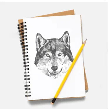 SKetching