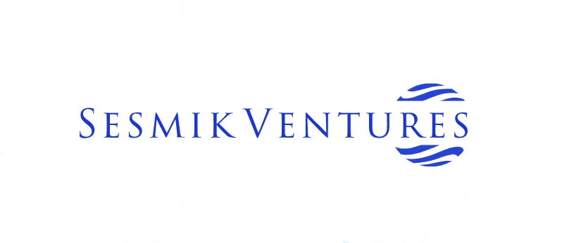 Sesmik Ventures