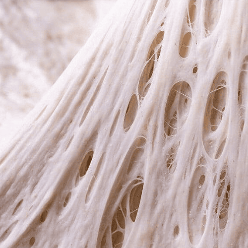 What is Gluten? What is Gluten?