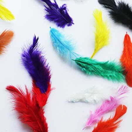 Feathers