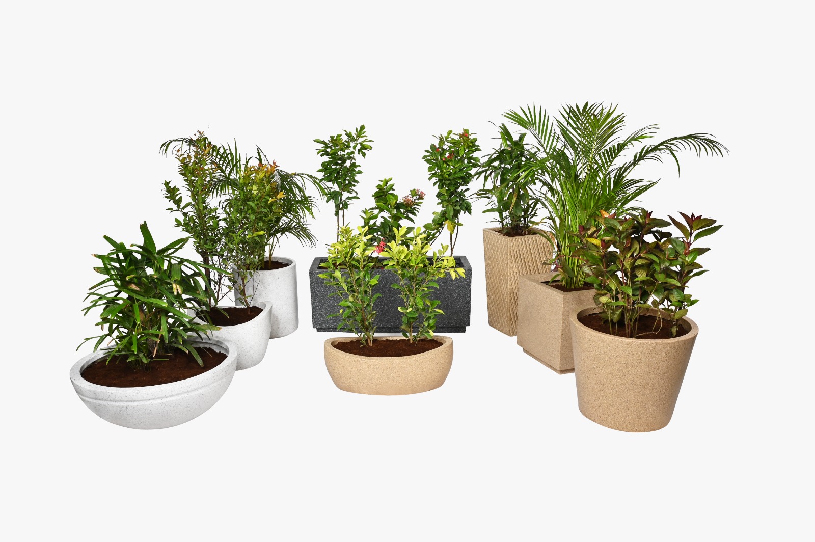 Decorative Planters