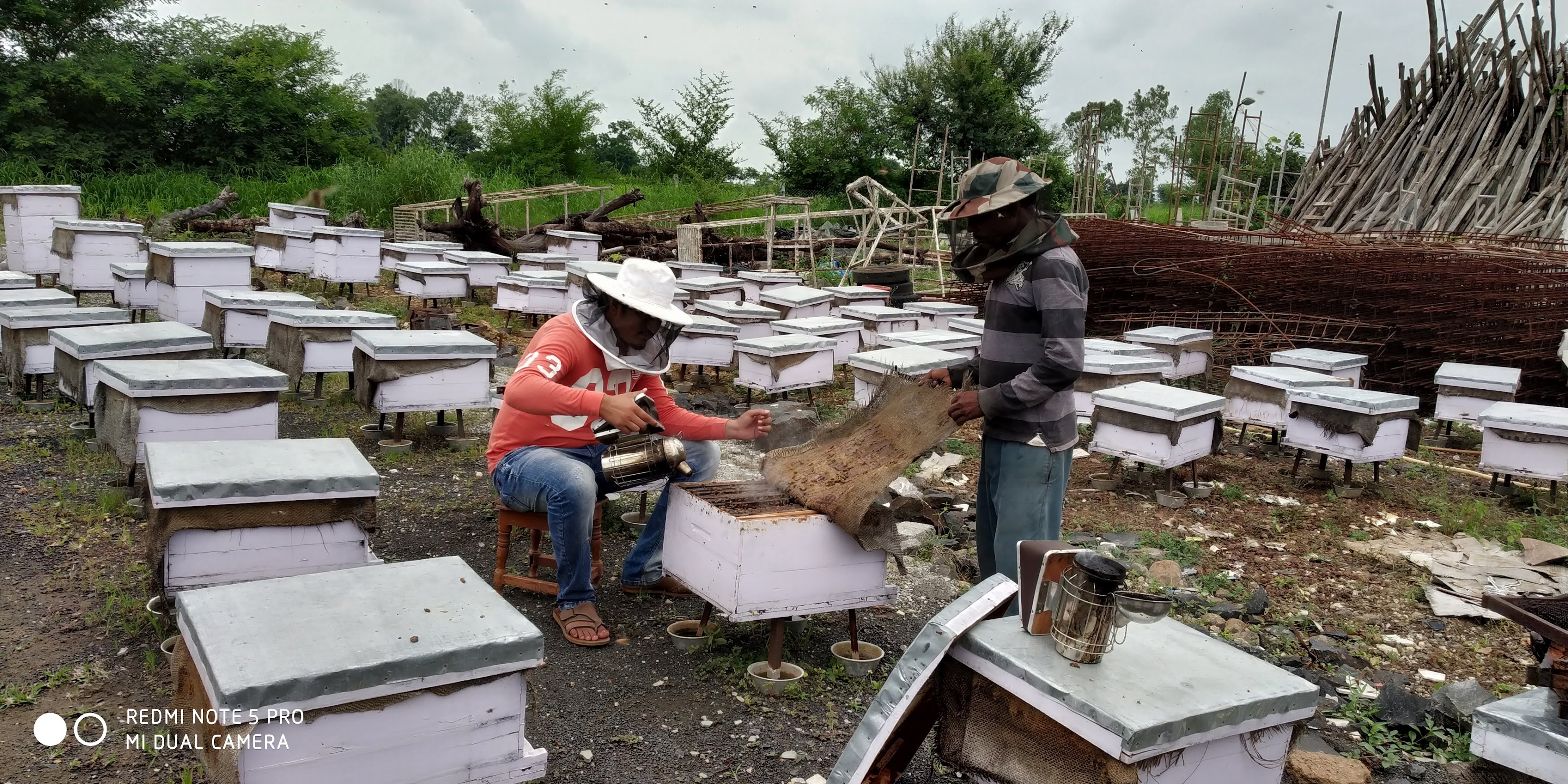 The Beekeeper Project The Beekeeper Project