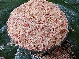 Rice