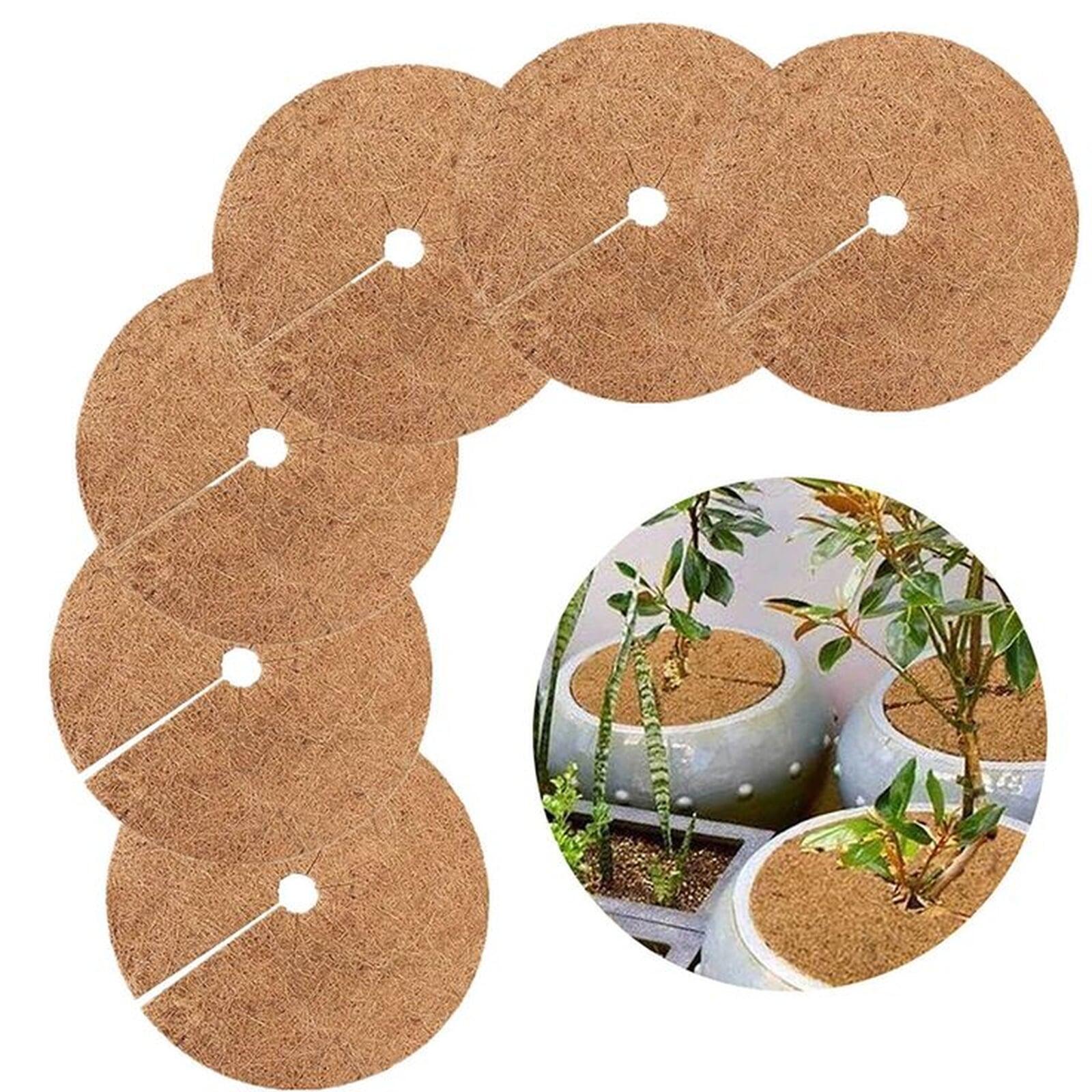 coir coir