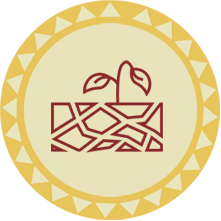 Degraded Soil Degraded Soil