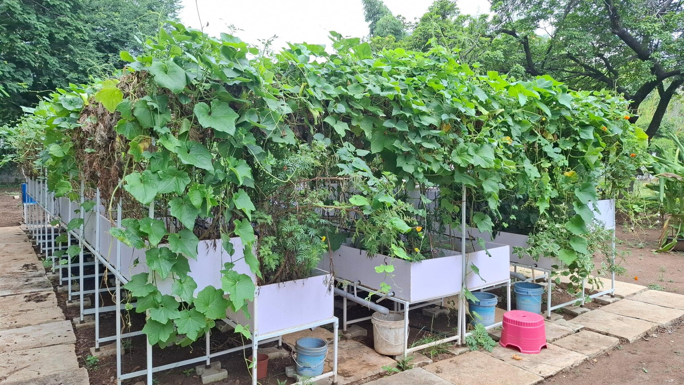 Garden Stands, Trellies, Tubs and Trays Garden Stands, Trellies, Tubs and Trays
