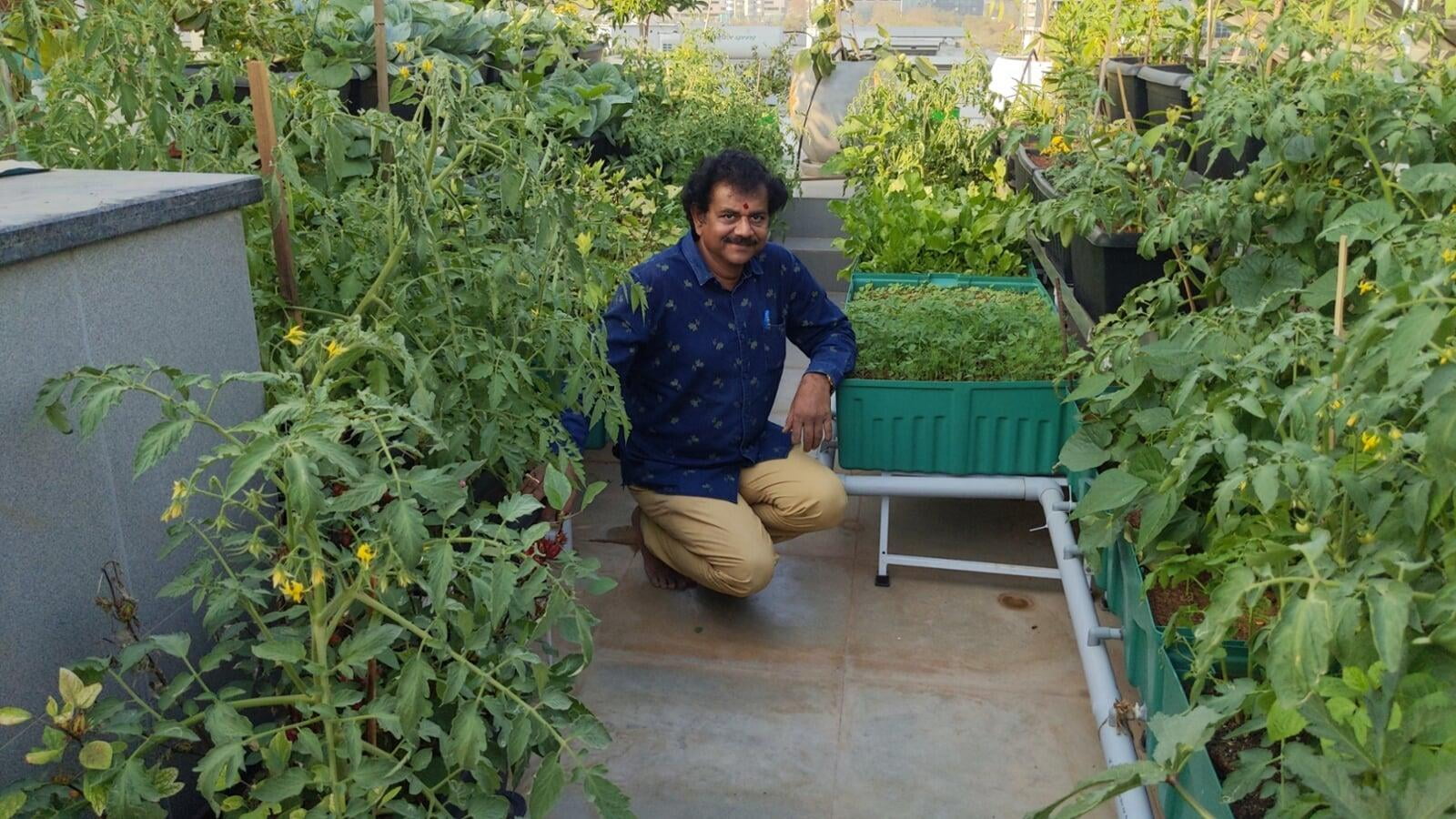 Garden Setup at Jayabheri Temple Tree