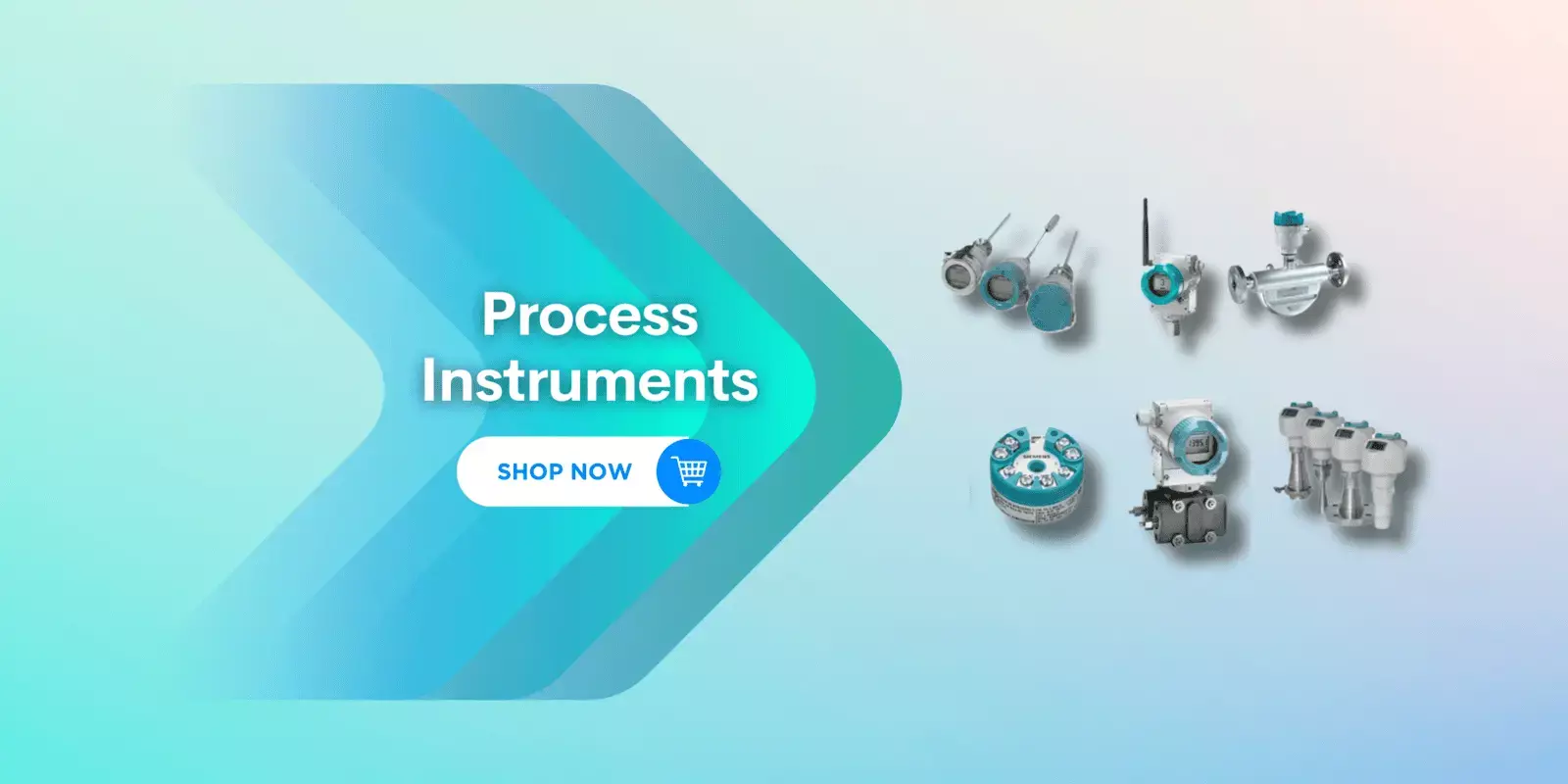 process-inst