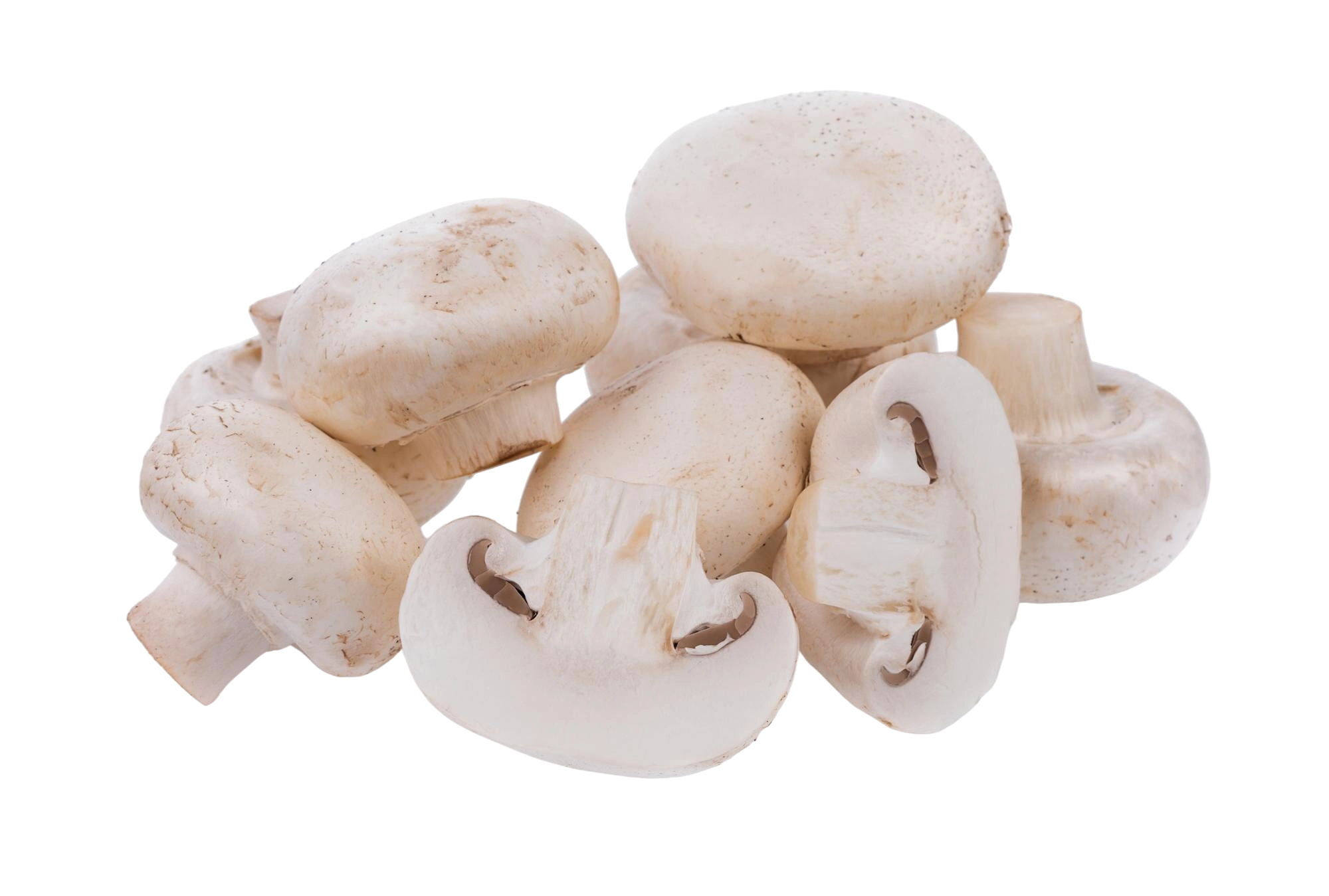 Action Figures Action Figures