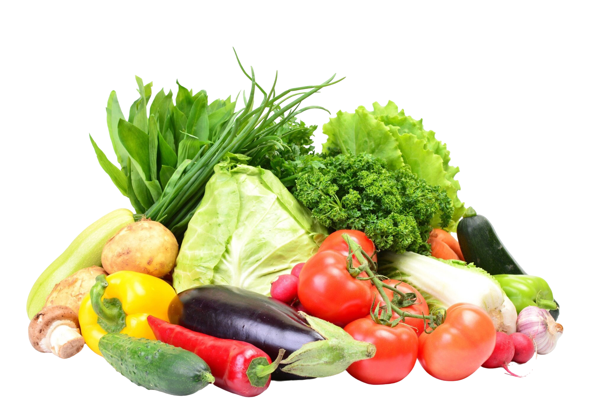 Action Figures Action Figures