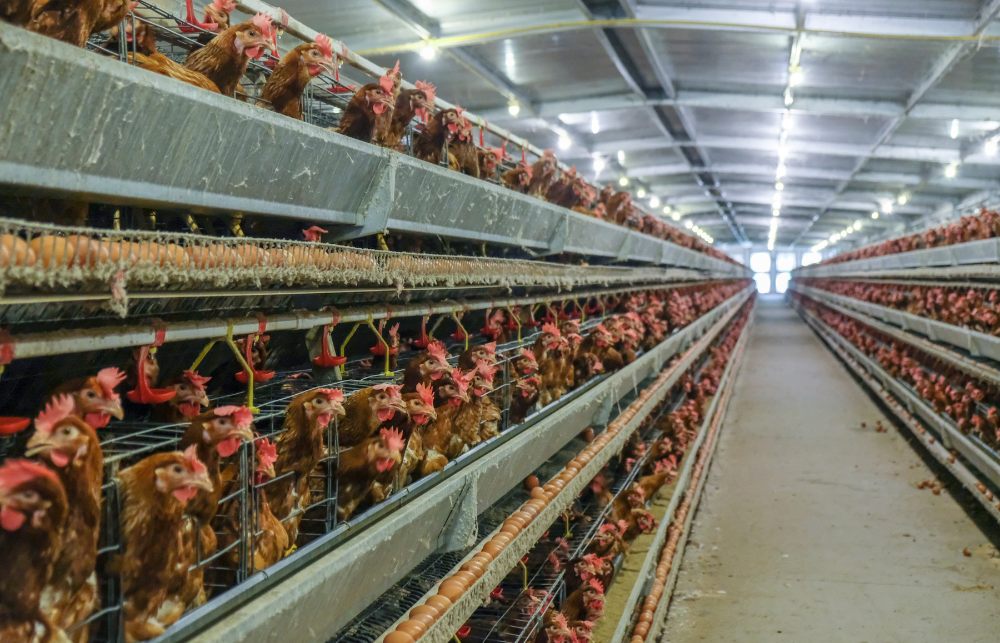 Customer Story Customer Story