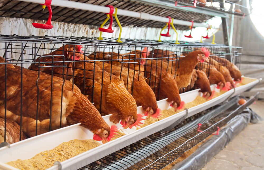 Customer Story Customer Story