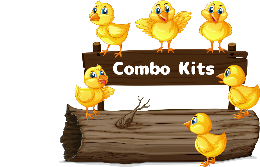 Outdoor Activities Outdoor Activities