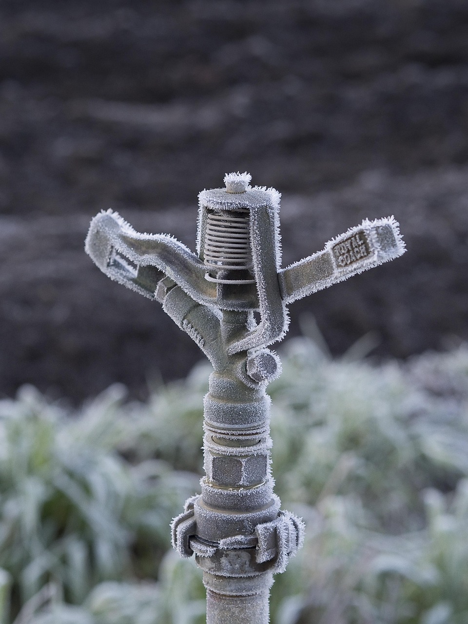 Sprinklers & Automation