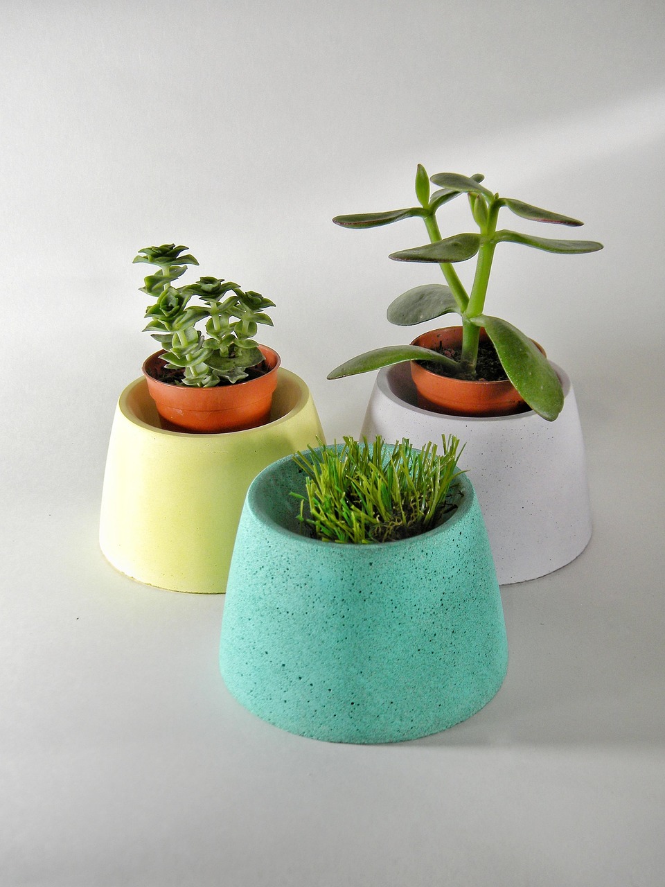 Pots & Planters Pots & Planters