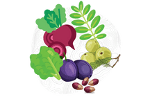 Low Cost Collectibles