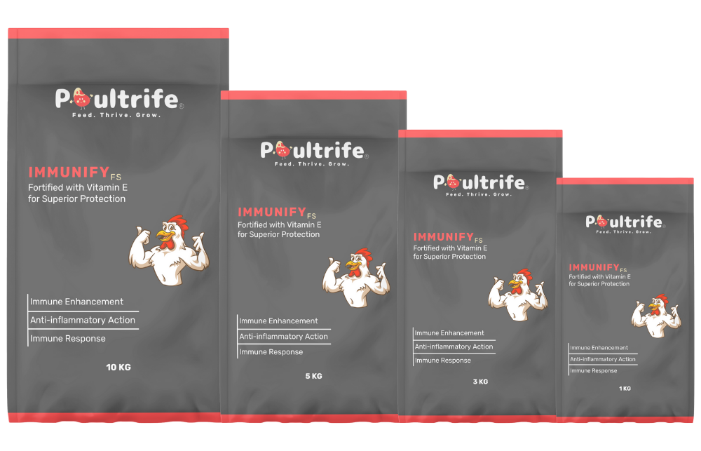 Best Deals for Toddlers Best Deals for Toddlers