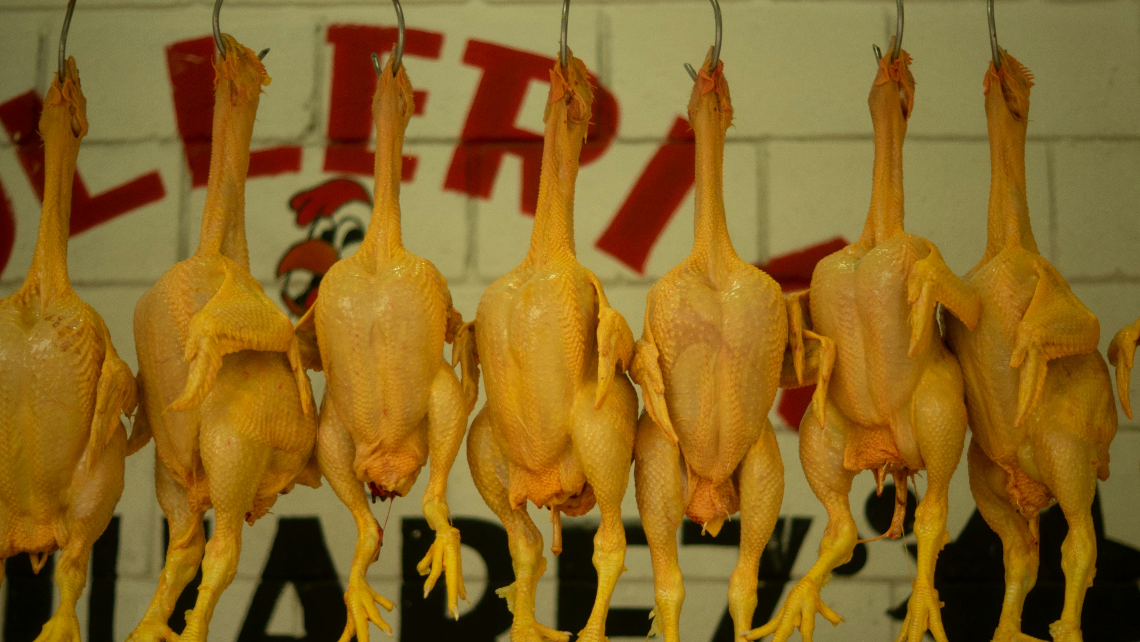 Chicken with Skin