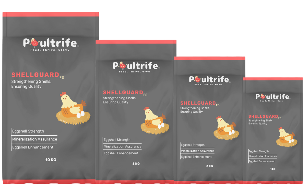 Low Cost Collectibles Low Cost Collectibles