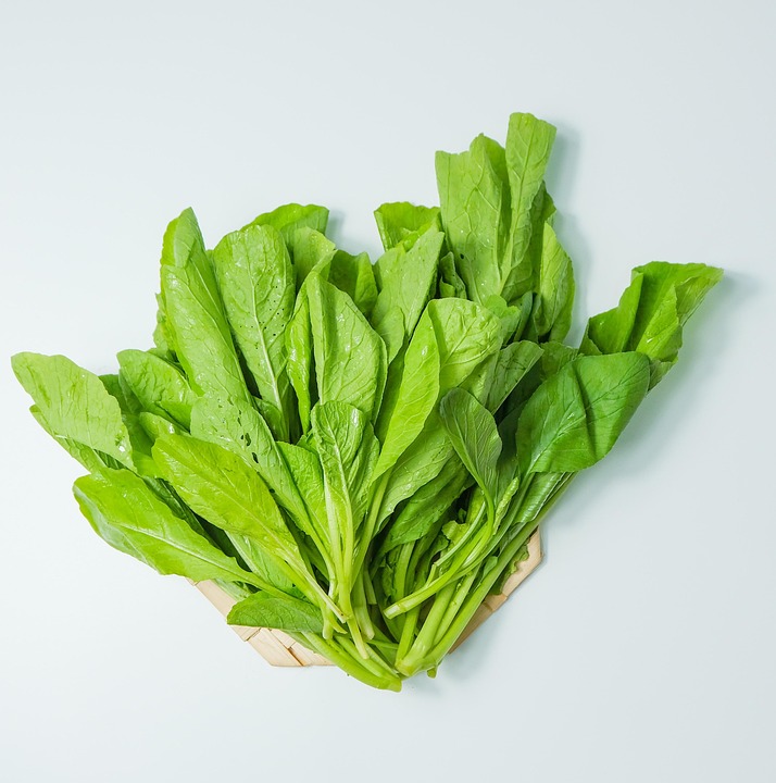 Leaves