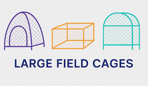 custom size insect cages custom size insect cages