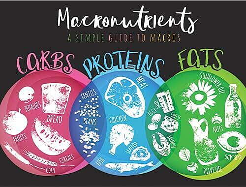 Macronutrients and Calories Macronutrients and Calories