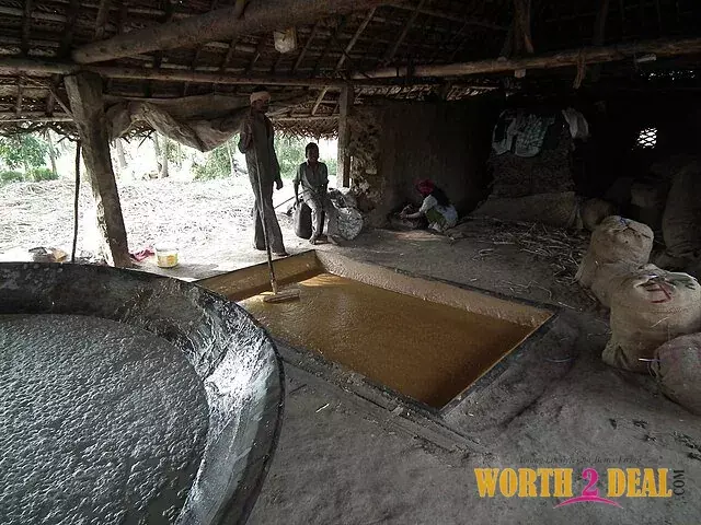 Traditional jaggery making shed Marayoor Kerala Muthuvan tribal artisans pouring sugarcane juice - Worth2Deal Traditional jaggery making shed Marayoor Kerala Muthuvan tribal artisans pouring sugarcane juice - Worth2Deal