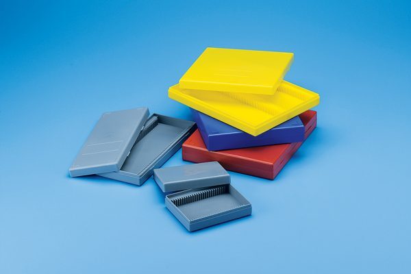 Microscopy & Microbiology